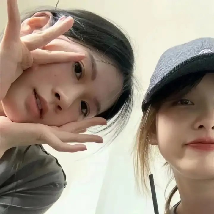 玫瑰